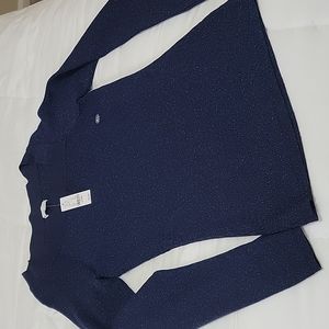 Sparkly Navy Sweater